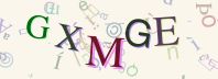 This is a captcha-picture. It is used to prevent mass-access by robots. (see: www.captcha.net)