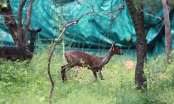 IMG_4483.jpg