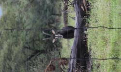 IMG_504ssw2.JPG
