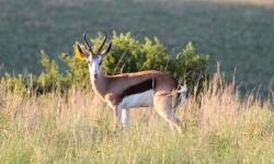 IMG_9254.JPG