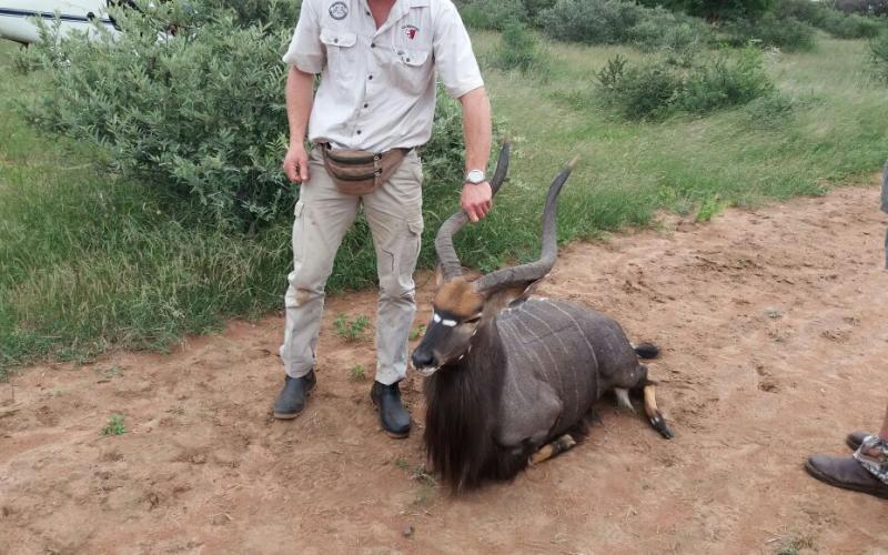 Nyala Bul.-