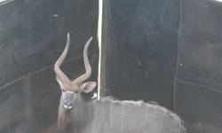 IMG_5367.JPG